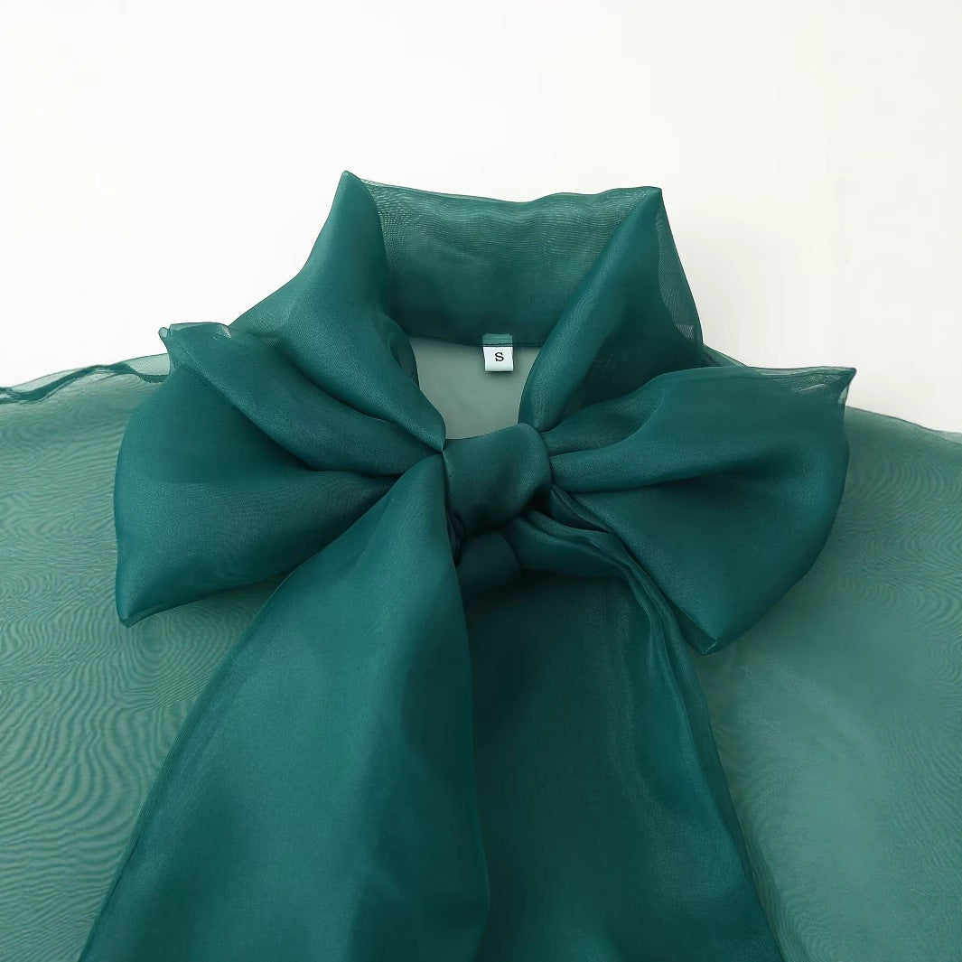 Women's Transparent Gauze Bow Blouse + Skirt