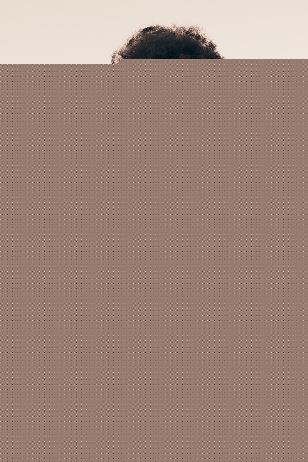 Culottes model 212012 Henderson